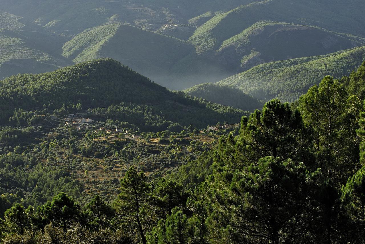 Casas Rurales Tio Frasquito Y Cleto Yeste Buitenkant foto